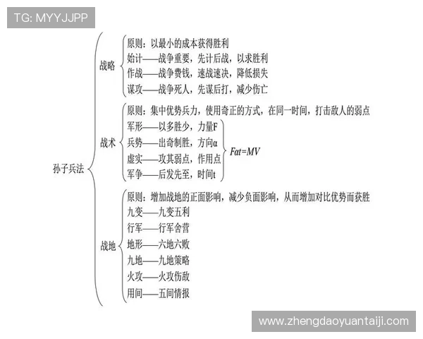 武汉排球队意识对比深度剖析与战术思维的影响研究