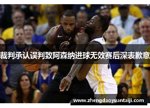 裁判承认误判致阿森纳进球无效赛后深表歉意